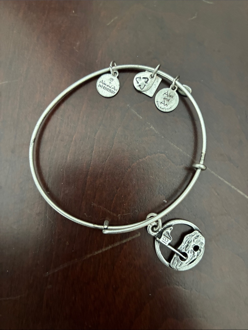 Alex and Ani Silver Golf Charm Expandable Bangle